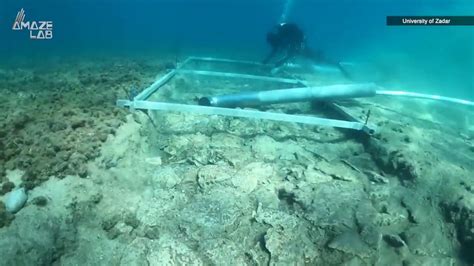 Lost underwater 'city' discovered in India could rewrite the  .